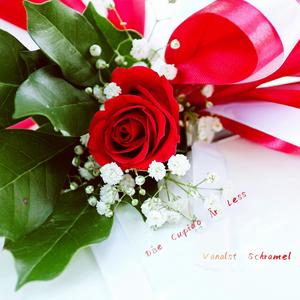 Hjiärtat Slår I Nordanlanden