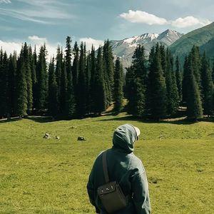 清晨（经典纯音乐）