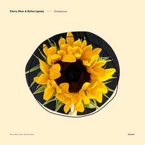 Crestaurum 40Hz - Gamma Waves Memory Recall