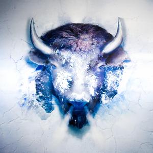 SOMEWHERE IN FEBRUARY