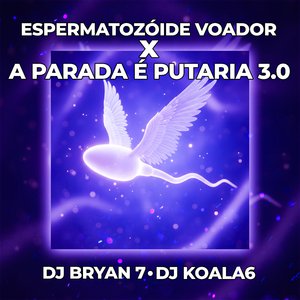 Espermatozoide Voador X A Parada É Putaria 3.0 (Slowed)