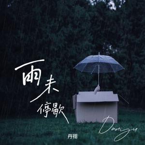 雨未停歇伴奏