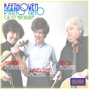 Beethoven: Piano Trio in B-Flat Major, op. 97, I. Andante Cantabile Ma Pero Con Moto
