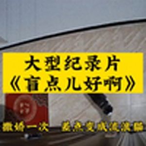 大型纪录片《盲点儿好啊》
