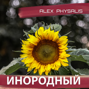 Инородный