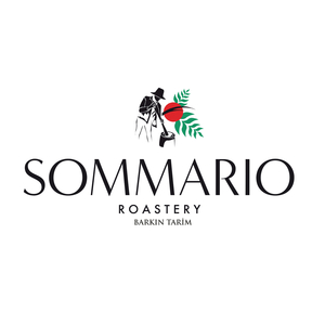 Sommario Quando