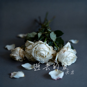 逝去的爱