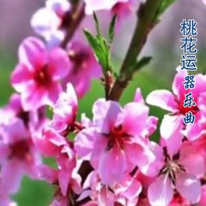桃花运 (唢呐演奏版)