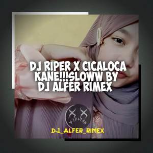 DJ RIPER X CICALOCA