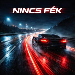 Nincs fêk