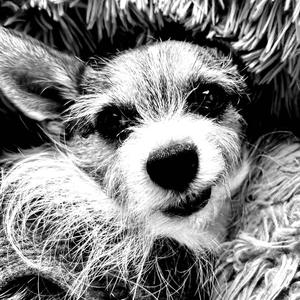 Smile Again (feat. Becca Stevens)