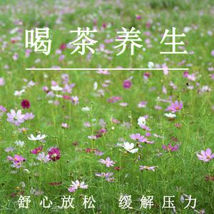 雅致茶音（轻音乐）