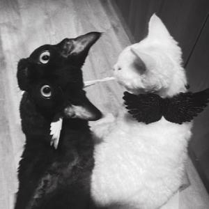 偷偷（feat.蛋堡）