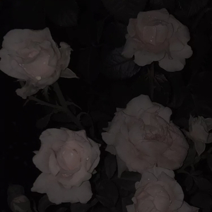 [FREE]"Don’t hate me"-Lil Tjay Type Beat（请握住我的手）