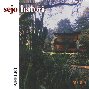 Afelio
