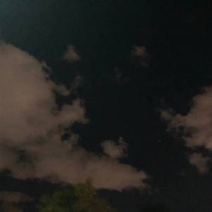 About Dream[pord.今晚吃鱼丸]