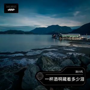 一杯酒啊藏着多少泪