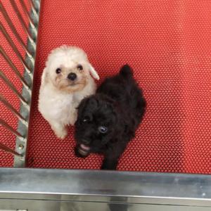 万年场的日租房