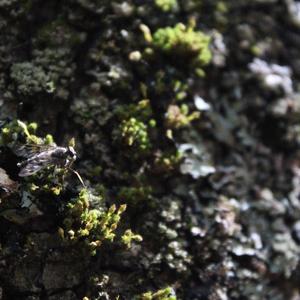 Kilroy