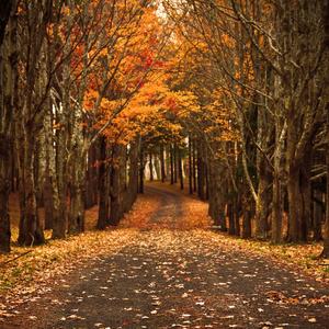 Let me love you (feat. Casey)