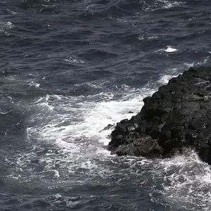 机械萤火虫之秋