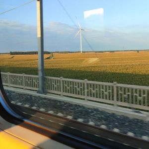 这条小鱼在乎翻唱（ll）