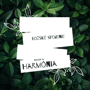 Om jóga (Buddhistická meditácia)