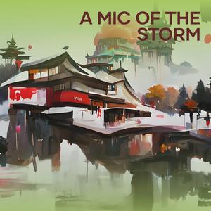 A Mic of the Storm