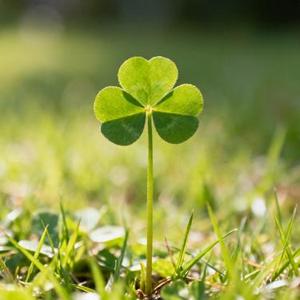 曾经是情侣 (Cover 梁博)