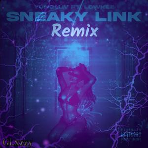 Sneaky Link