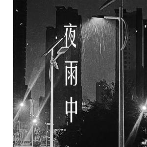 夜雨中