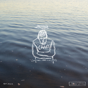 Crazy (Some Days I Feel Like Shit)