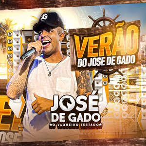 Piseiro Havaiano (Oficial)