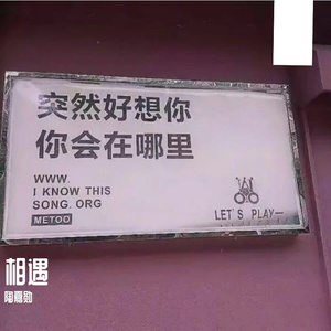 挚友