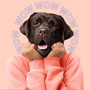 阿喂（翻自 纯情阿维）