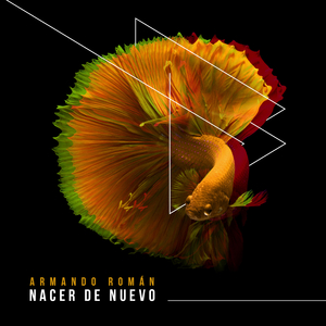 De Alajuela Hasta Madrid