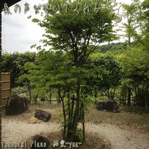 目覚める朝の光の中で