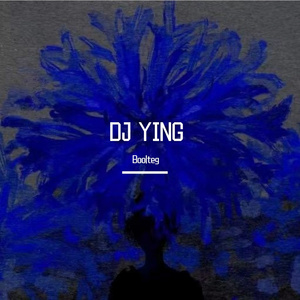 队长-楼顶上的斑鸠 （DJ YING Boolteg）