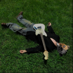 여름과 하이에나