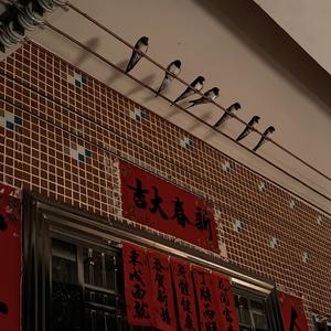 石头（Pord by Raven_pord）