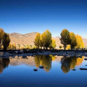 空白格（Affectionate Version）