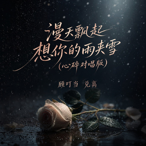 漫天飘起想你的雨夹雪(心碎对唱版)