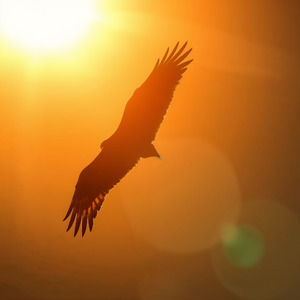 僕は僕を超えて