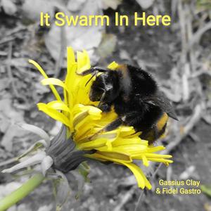It Swarm in here