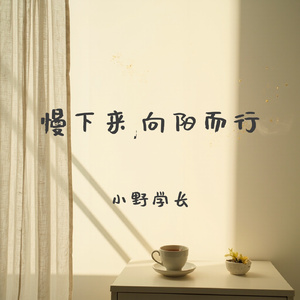 慢下来,向阳而行