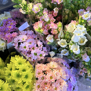 九月未寄的信1.0