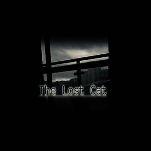 The Lost Cat