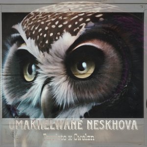Umakhelwane Neskhova (Radio Edit)