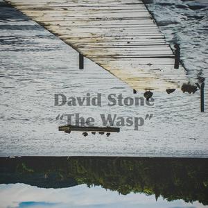 The Wasp (For Trent)