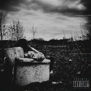 Социальный